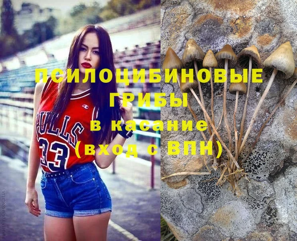 сатива Балабаново