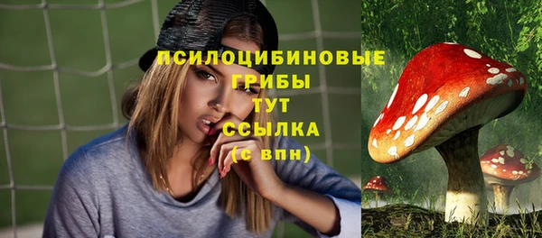 марки lsd Новодвинск